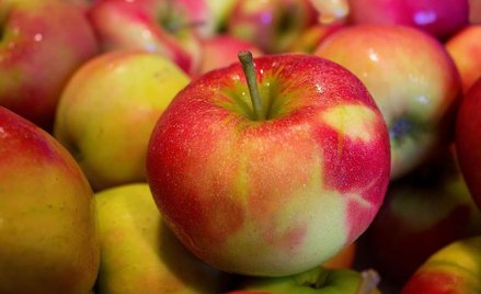 Prof. Makosz: rekordowe zbiory jabłek w 2016 r., niskie ceny