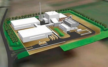 Elektrownia na słomę w Lublinie miałaby kosztować TergoPower ok. 150 mln euro.