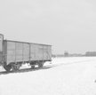 Odszkodowania za transport do Auschwitz. Holandia płaci, teraz czas na Niemcy