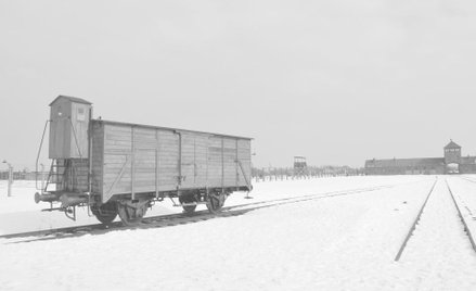 Odszkodowania za transport do Auschwitz. Holandia płaci, teraz czas na Niemcy