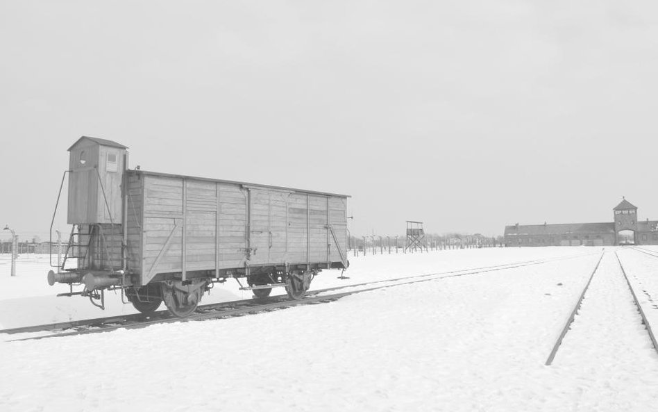 Odszkodowania za transport do Auschwitz. Holandia płaci, teraz czas na Niemcy