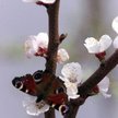 Ochrona środowiska utrudni życie inwestorom