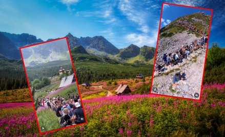 Tłumy turystów na szlakach górskich. W miniony weekend Tatry przeżywały prawdziwe oblężenie