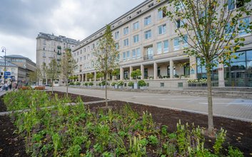 Nasadzenia drzew na parkingu należącym do ministerstwa pozbawiły mieszkańców miejsc w Strefie Płatne