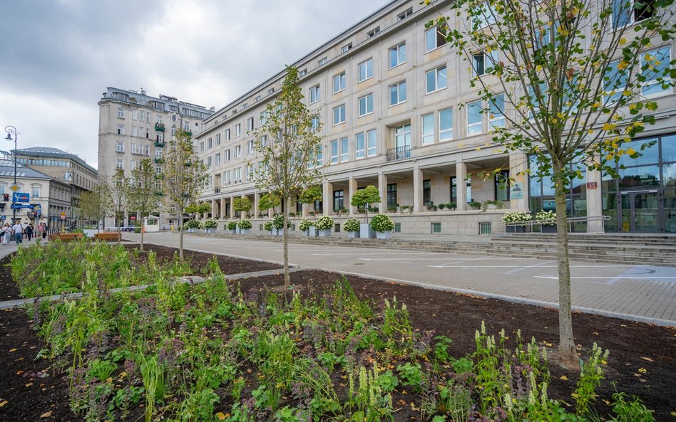 Nasadzenia drzew na parkingu należącym do ministerstwa pozbawiły mieszkańców miejsc w Strefie Płatne