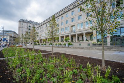 Nasadzenia drzew na parkingu należącym do ministerstwa pozbawiły mieszkańców miejsc w Strefie Płatne