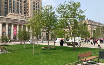 Wokół placu posadzono 100 nowych drzew i ustawiono 100 nowych ławek