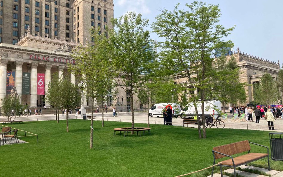 Wokół placu posadzono 100 nowych drzew i ustawiono 100 nowych ławek