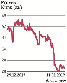 Biorąc pod uwagę raportowane wyniki finansowe, 2018 roku Forte nie może zaliczyć do udanych. Zdaniem