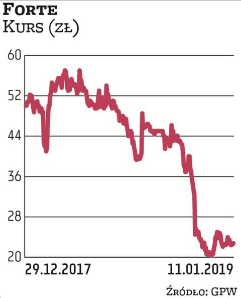 Biorąc pod uwagę raportowane wyniki finansowe, 2018 roku Forte nie może zaliczyć do udanych. Zdaniem