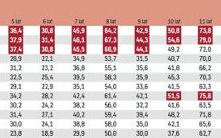 W 2016 roku zyski funduszy emerytalnych można uznać za bardzo dobre