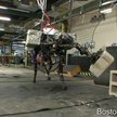 BigDog - wojskowy robot atleta