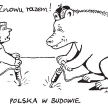 Komentarz rysunkowy. Polska w budowie