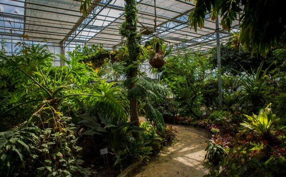 Ogród Botaniczny PAN w Powsinie