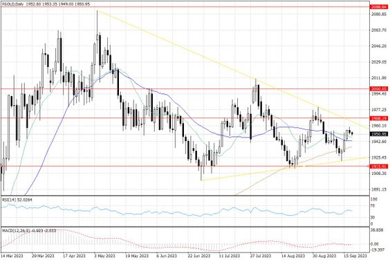 Notowania złota – dane dzienne