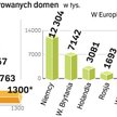 Polski rynek domen na tle krajów europy