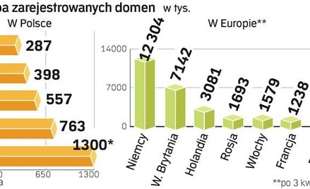 Polski rynek domen na tle krajów europy