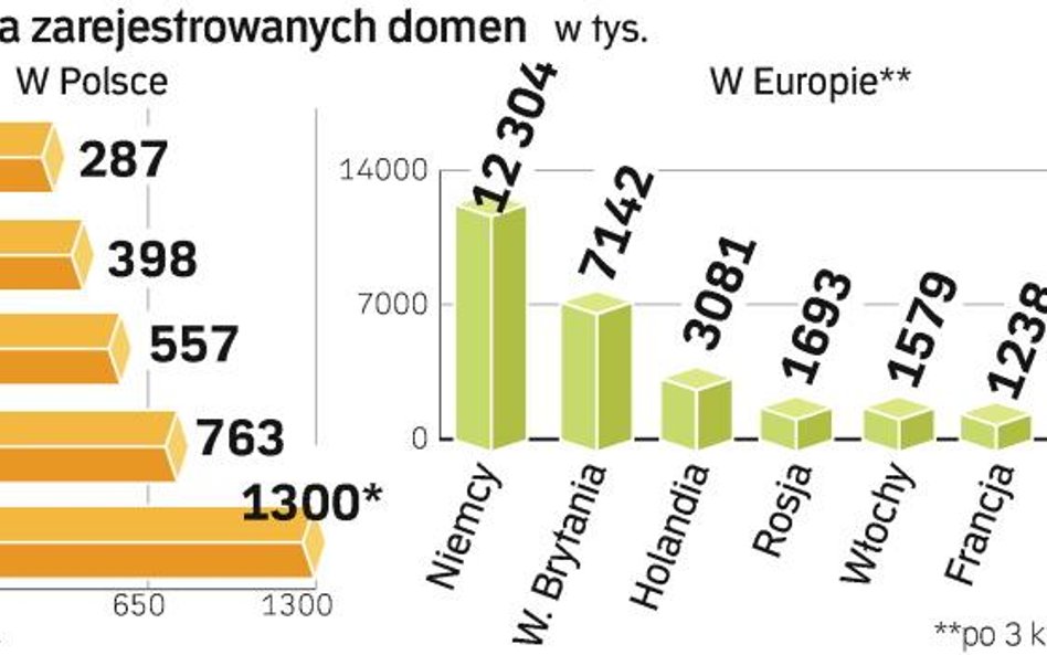 Polski rynek domen na tle krajów europy