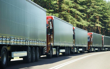 Na dostosowanie polskich dróg do cieżkiego transportu potrzeba 50 mld złotych
