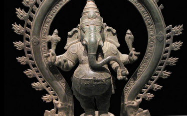 Republikanie pytają Hindusów: Wolicie czcić słonia czy osła?