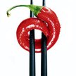 Smak chilli odbierają neurony czuciowe związane z receptorami bólowymi