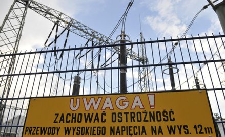 Tauron wygrywa przetargi