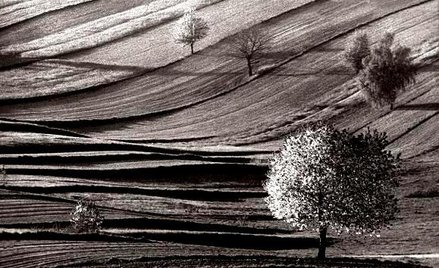 Pejzaż. fot. Jerzy Piątek