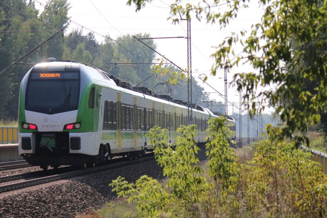 Łatwo można połączyć podróż pociągiem Kolei Mazowieckich z aktywnym wypoczynkiem na łonie natury
