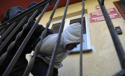 Prawo karne: Europejski nakaz aresztowania nadużywany w Polsce