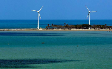 Morskie farmy wiatrowe potrzebują wsparcia