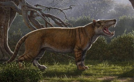 Kenia: W szufladzie muzeum znaleziono szczątki gigantycznego drapieżnika
