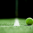 Zakaz startu dla Rosjan i Białorusinow. Wimbledon daje przykład