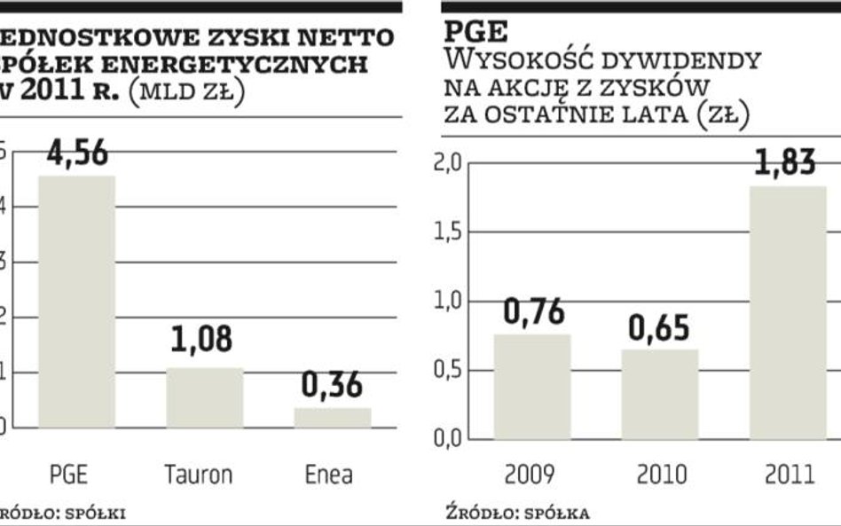 Skarb Państwa zgarnie ponad 2 mld zł z zysku PGE