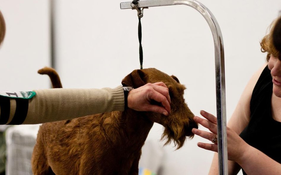 Radni chcą obowiązku mycia odpadów i mierzenia psa. Co jeszcze wymyślą?