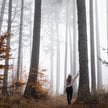 Firmy w lesie z regulacją o wylesianiu
