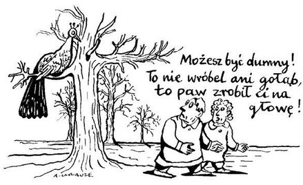 Komentarz rysunkowy. Paw zrobił na głowę