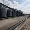 Rosja przyparta do zbożowego muru. Importerzy rezygnują z zakupów