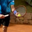 TopLevelTennis.com: Spore zainteresowanie platformą