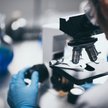 Niepewność w Pure Biologics. Co z upadłością?