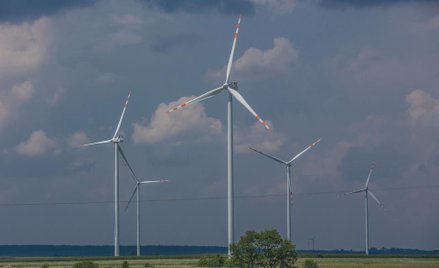 Tauron: Więcej prądu z wiatru