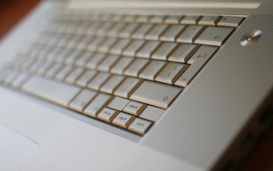 Polscy internauci pod lupą