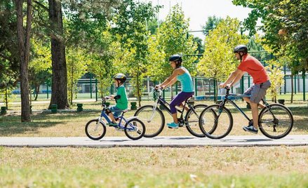 Miasta pełne rowerów