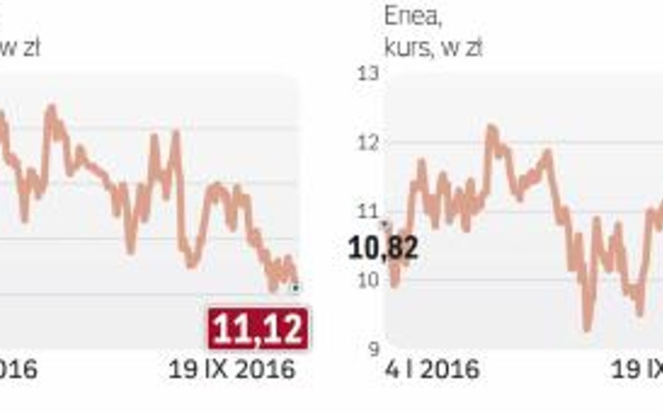 Energetyka na GPW dołuje od miesiĘcy, Bo decyzje zarządów są wyrazem woli polityków, a nie praw rynk