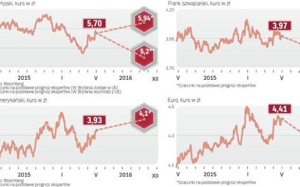 Euro i frank szwajcarski mogą do końca roku trochę stanieć