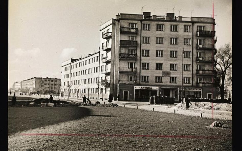 ... ale przede wszystkim kolonie przy pl. Wilsona.