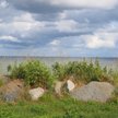 Początek tygodnia, zwłaszcza na północy kraju, przyniesie ochłodzenie