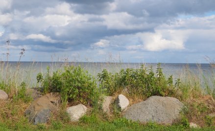 Początek tygodnia, zwłaszcza na północy kraju, przyniesie ochłodzenie
