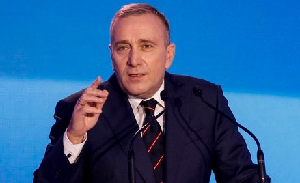 Grzegorz Schetyna: Władza nie umie korzystać z systemu