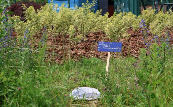 Materiał z którego wykonane są poidełka ma zminimalizować nagrzewanie się wody podczas upałów