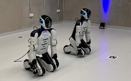 Roboty nie mają gorszych dni, nie biorą "wolego" na żądanie i nie płaci się jeszcze od nich podatków